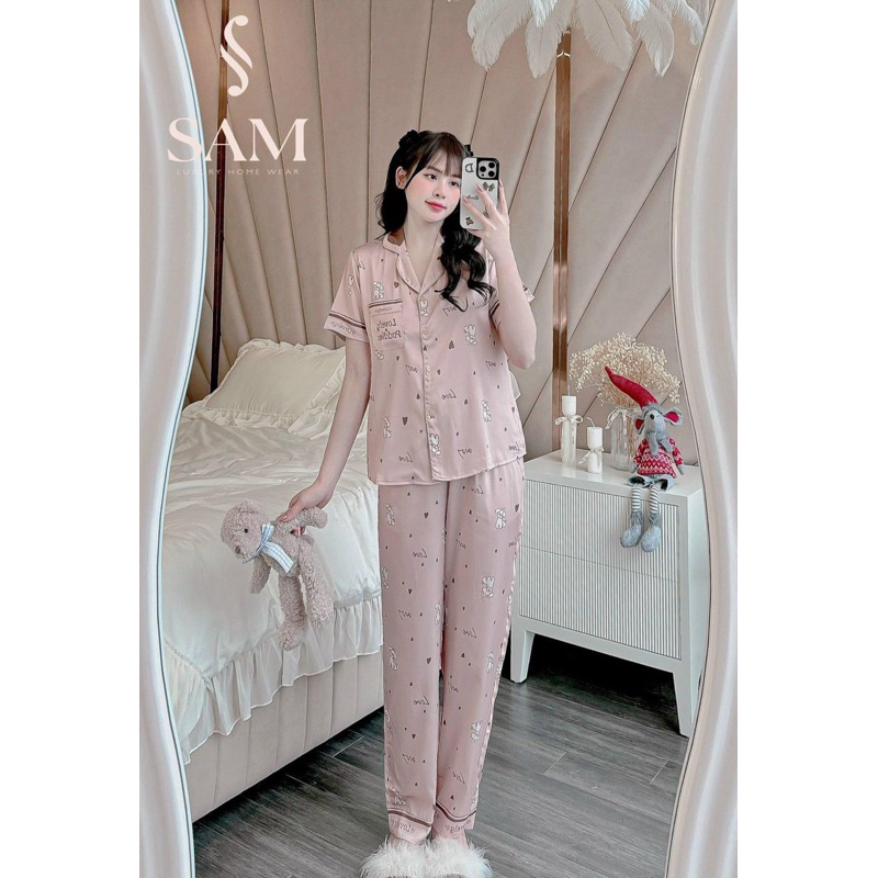 gấu nhỏ Hồng đất TN