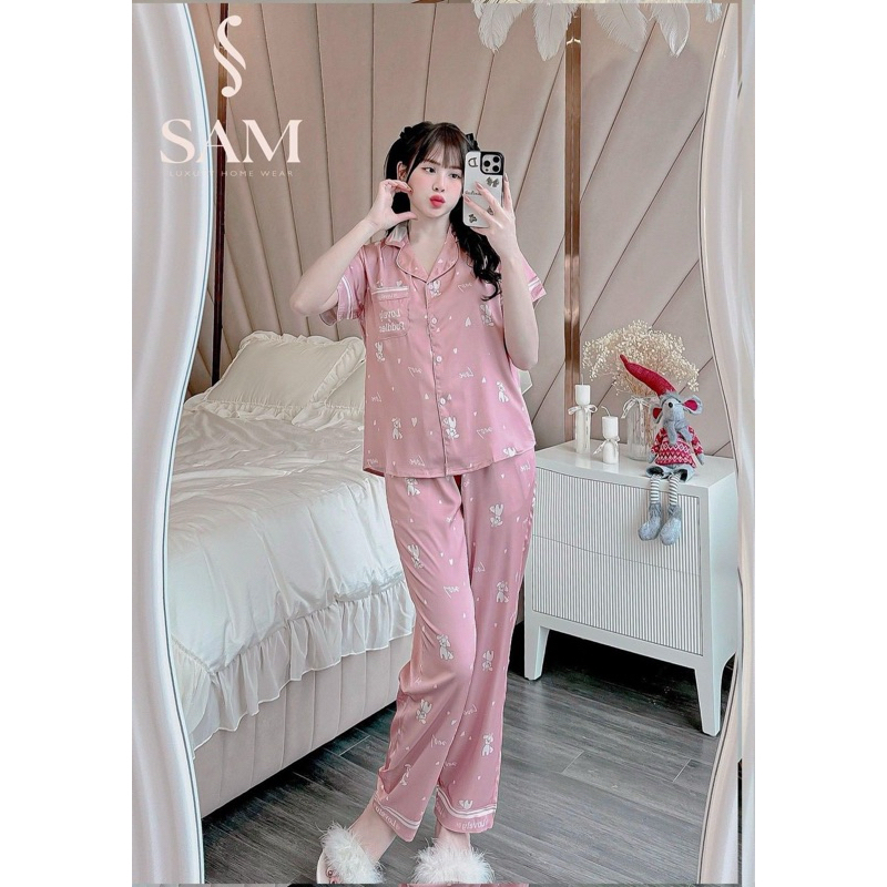 Gấu Nhỏ Hồng TN