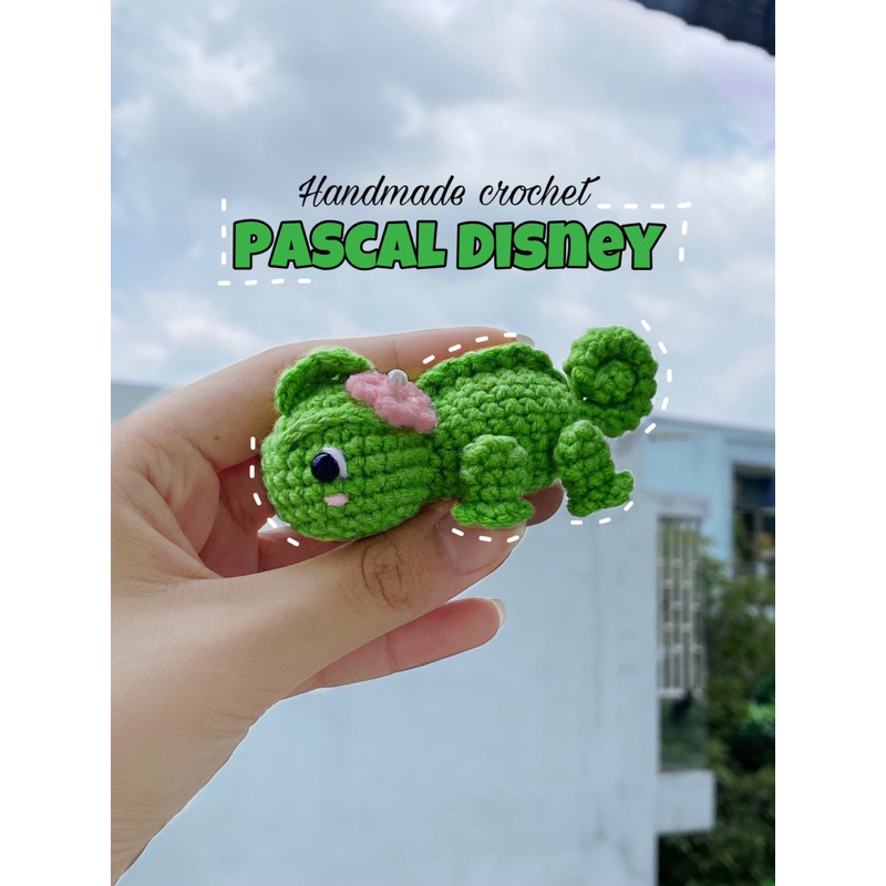 Pascal - Giá Tốt, Sale Tháng 05, Ship 0 Đồng | Shopee Việt Nam