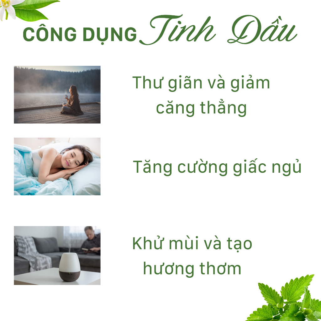 Chất lượng Lọ Tinh Dầu Cao Cấp