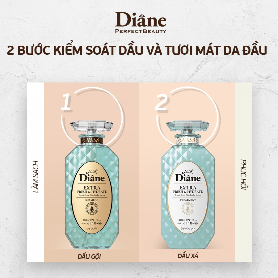 Dầu Gội Đầu Sạch Dầu, Ngăn Ngừa Gàu, Thông Thoáng Mát Lạnh Moist Diane  Extra Fresh & Hydrate 450ml