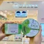 Gel Dưỡng Ẩm Cải Thiện Tình Trạng Thô Ráp Trên Da Deve Nhật Bản (300g)