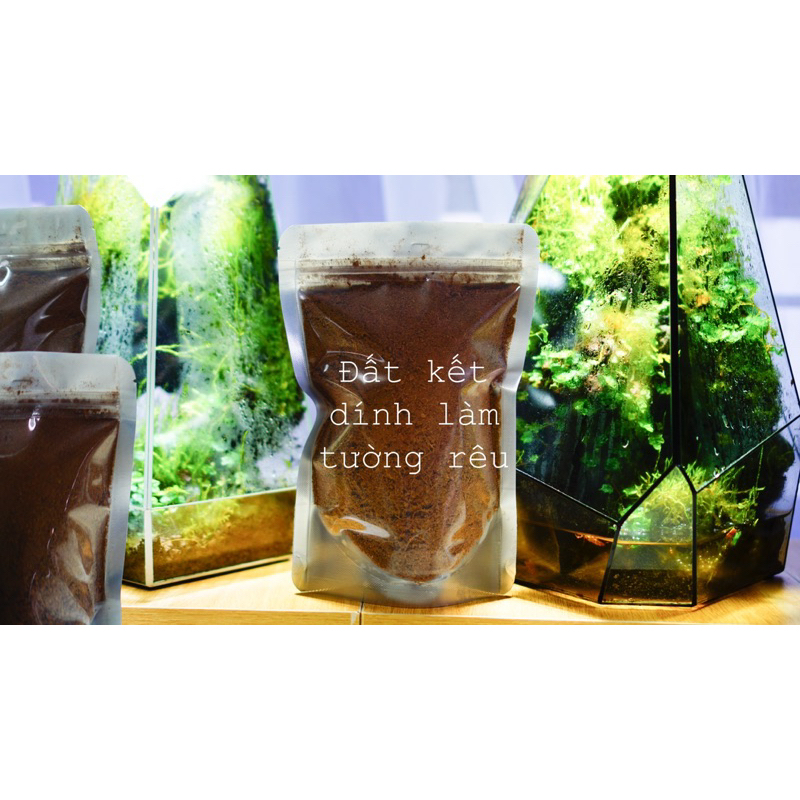 Đất Kết Dính Làm Tường Rêu Terrarium | Shopee Việt Nam