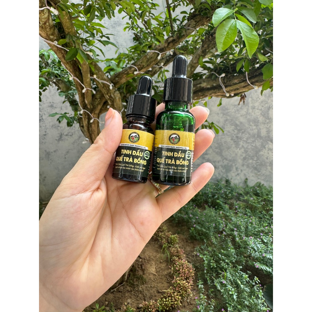 Ảnh Tinh Dầu Vỏ Quế - Hương Quế Trà Bồng 10ml 3