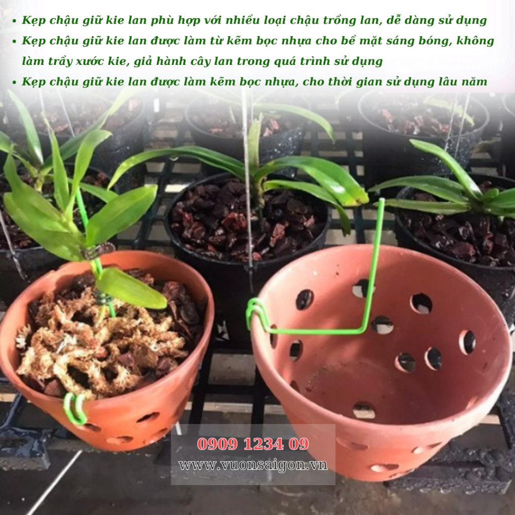Kẹp Chậu Giữ Kie Lan 3