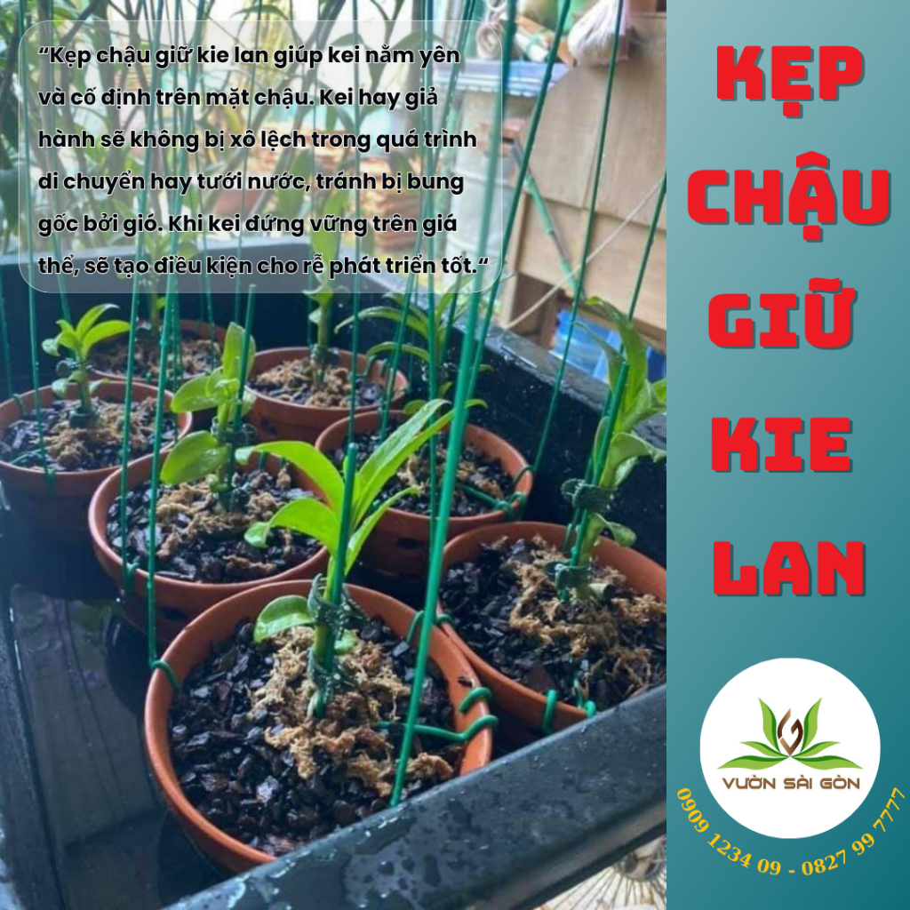 Kẹp Chậu Giữ Kie Lan 1