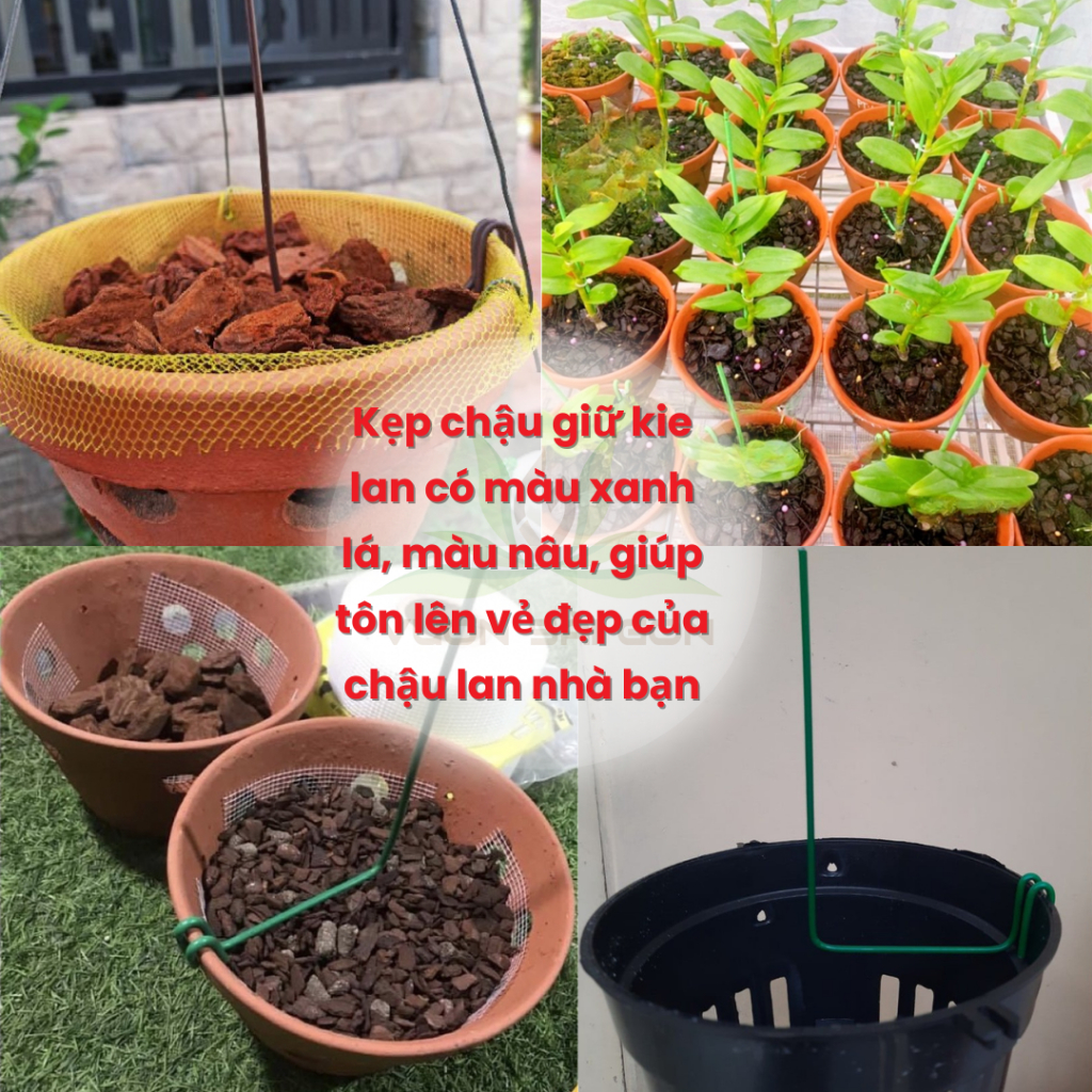 Kẹp Chậu Giữ Kie Lan 4