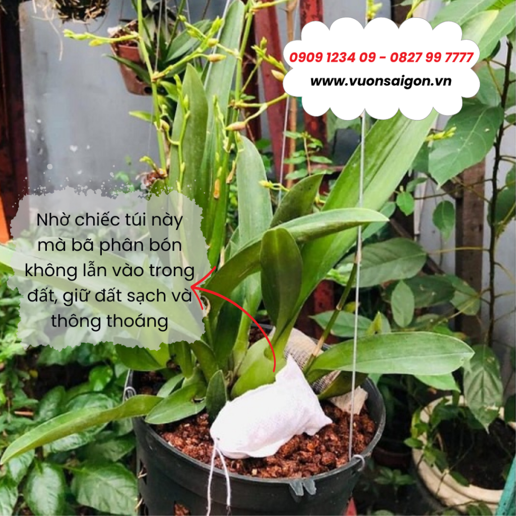 Túi trà đóng phân 7