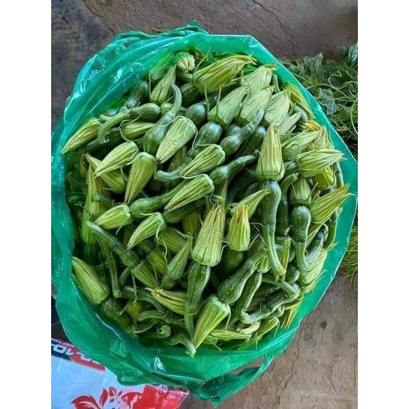 Hạt Giống Bí Siêu Nụ💥 Ăn Cực Ngon💯 Hàng Thái Rất Năng Suất