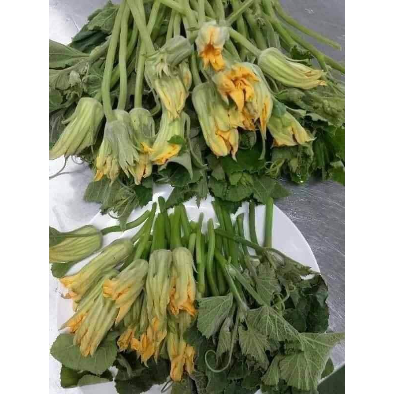 Hạt Giống Bí Siêu Nụ💥 Ăn Cực Ngon💯 Hàng Thái Rất Năng Suất