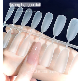 Móng úp vỉ phom hạt gạo - hộp gồm 10 vỉ  đủ số