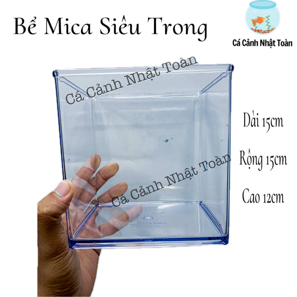 Bể Cá Betta Mica (Siêu Trong, Hiện Đại 15x15x12cm) - Hồ Show Nuôi Cá Cảnh Nhỏ Gọn - Cạnh Bo Cong