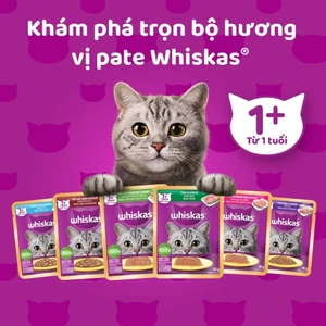 24 Gói Sốt Mèo Whiskas 80g / 70g Mix Vị Đa Dạng Cho Mèo Lớn Và Mèo Con Hỗ Trợ Dinh Dưỡng