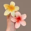 Kẹp tóc hoa sứ hoa ly AAA iLita càng cua đẹp cho nữ đẹp hottrend nhiều màu sắc phong cách Hawaii, cặp búi tóc màu