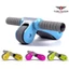 Con lăn tập bụng Gym Roller