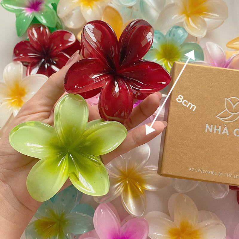 Sứ đỏ rượu đại