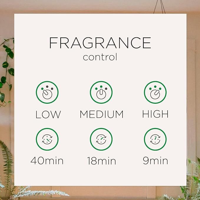 Máy xịt thơm phòng tự động Air Wick, ngát hương 24/7, thời gian xịt lên đến 70 ngày, 250ml | BigBuy360 - bigbuy360.vn