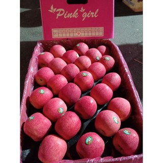 ( Jenny Fruit ) combo bịch 3 kg táo túi WOW nam phi dòn ngọt