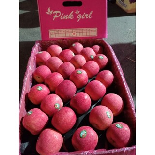 ( Jenny Fruit ) combo bịch 3 kg táo túi WOW nam phi dòn ngọt