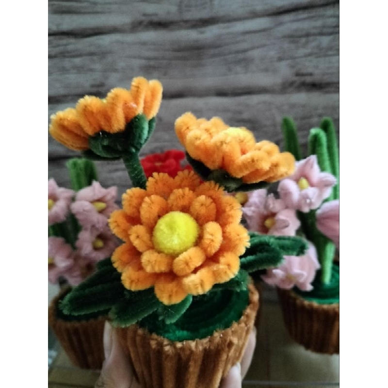 Chậu Hoa Tigon Kẽm Nhung Decor, Quà Tặng Xinh Xắn