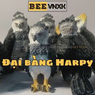 Mô hình động vật cao cấp Đại bàng Harpy (14862) Schleich Wild Life dành cho bé từ 3 tuổi sưu tập BEE VNXK