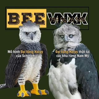Mô hình động vật cao cấp Đại bàng Harpy (14862) Schleich Wild Life dành cho bé từ 3 tuổi sưu tập BEE VNXK