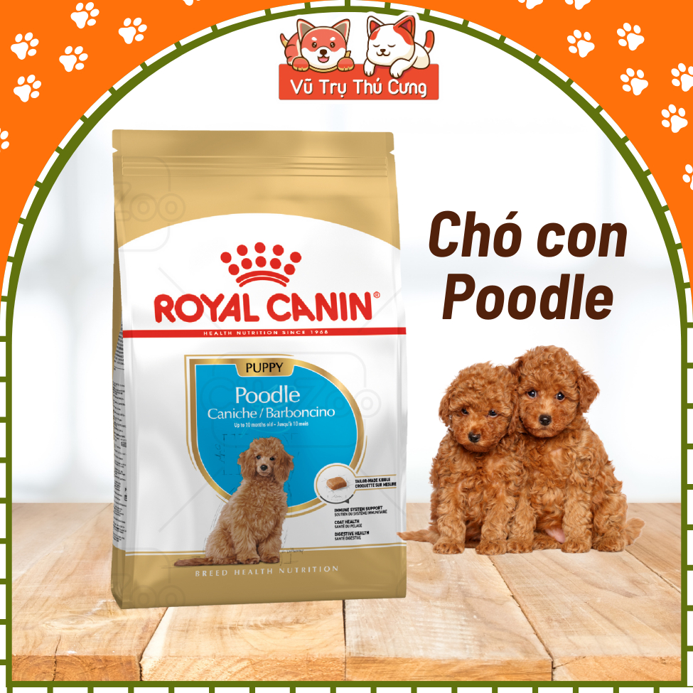Thức Ăn Hạt Cho Chó Con Royal Canin Poodle Puppy