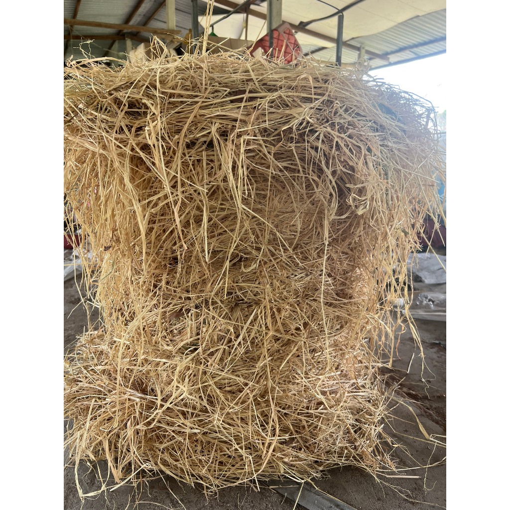 1 cuộn rơm khô khoảng 16kg - Vui lòng không đặt kèm cây, hư cây shop ko ...