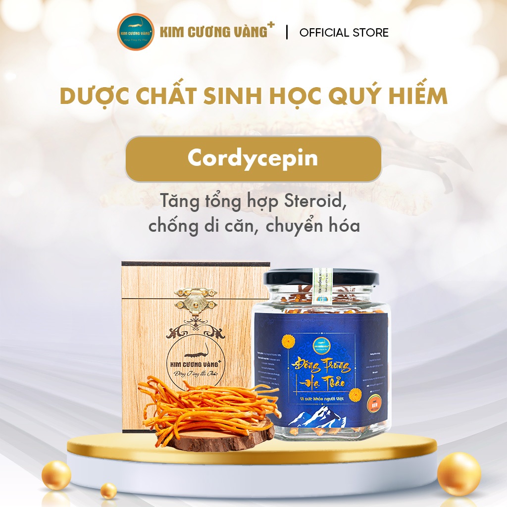 Ảnh Đông Trùng Hạ Thảo Khô Thượng Phẩm Kim Cương Vàng - Hỗ Trợ Giải Độc Gan, Tăng Cường Đề Kháng, Giảm Mệt Mỏi (15Gr/Hộp) 3
