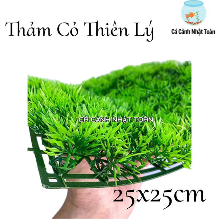 THẢM CỎ NHẬN TẠO MẪU 1 TRANG TRÍ HỒ CÁ LÓT NỀN HỒ CÁ 25X25CM