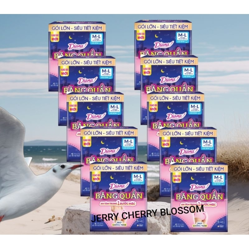 Bộ 10 gói băng vệ sinh dạng quần Diana Beauty hip 5 chiếc size SM/ML/XL