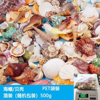 Hỗn hợp vỏ ốc tự nhiên trang trí bể cá