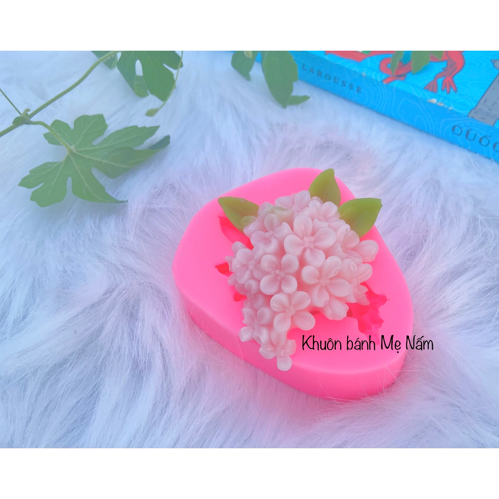 Chùm hoa hoàng hậu