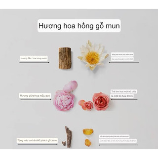 [Olay] TẨY DA CHẾT BODY KÍCH TRẮNG OLAY B3