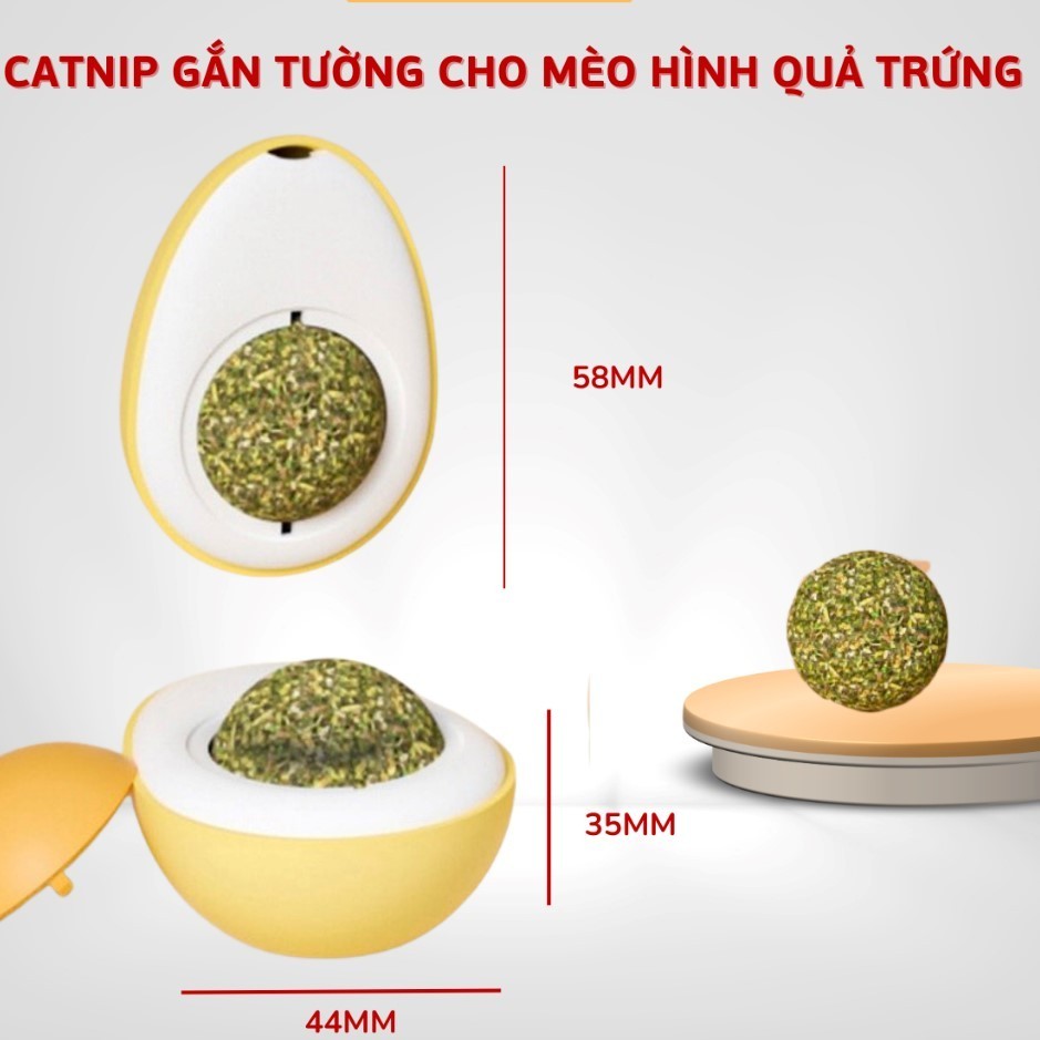 CỎ MÈO DÁN TƯỜNG HÌNH TRỨNG