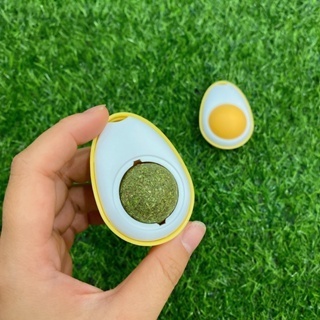 CỎ MÈO DÁN TƯỜNG HÌNH TRỨNG
