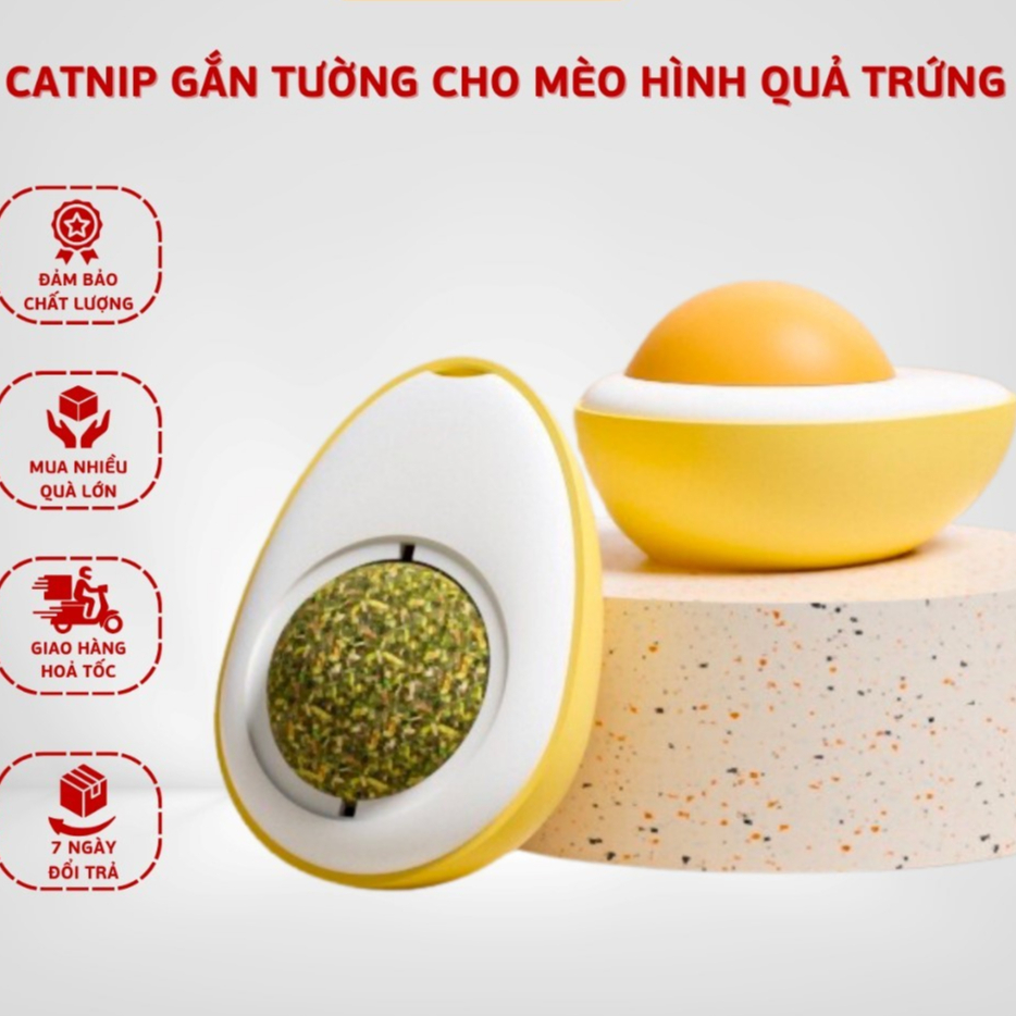 CỎ MÈO DÁN TƯỜNG HÌNH TRỨNG
