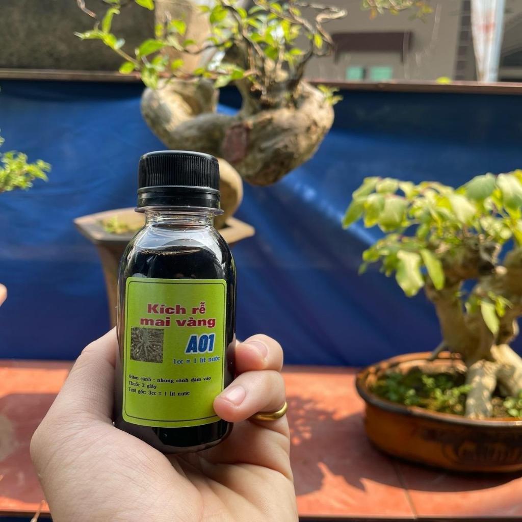 kích rễ mạnh A01 sắp - đế
