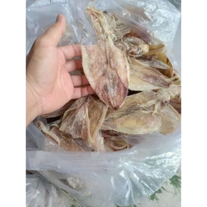 10 CON MỰC ĐẸP, CỠ 4 NGÓN TAY, HÀNG CHẤT LƯỢNG, XUẤT XỨ BIỂN KIÊN GIANG