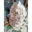 10 CON MỰC ĐẸP, CỠ 4 NGÓN TAY, HÀNG CHẤT LƯỢNG, XUẤT XỨ BIỂN KIÊN GIANG