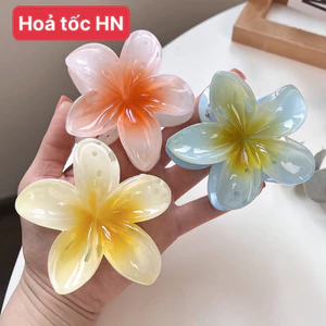 Kẹp tóc hoa sứ Kẹp tóc hình hoa hottrend xinh xắn dành cho nữ