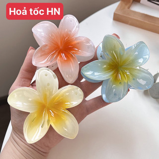 Kẹp tóc hoa sứ Kẹp tóc hình hoa hottrend xinh xắn dành cho nữ