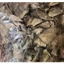 Cây quýt gai khô JINDO 1kg