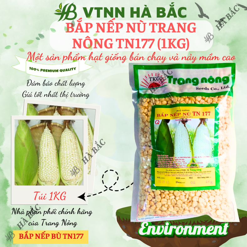 Bắp Nếp Nù Trang Nông TN177 (1kg) - hạt giống nảy mầm tốt, năng suất cao, trông quanh năm - Hạt giống Hà Bắc