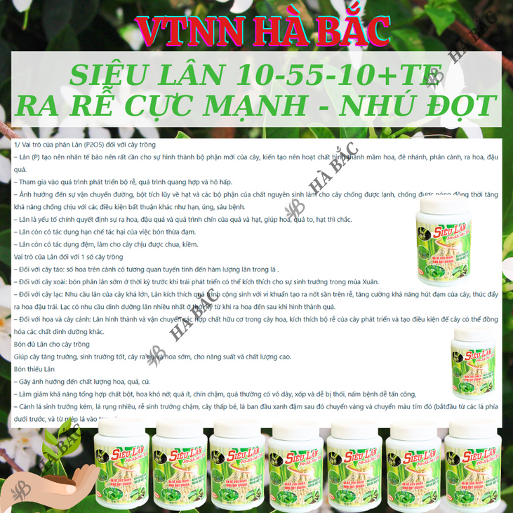 Phân bón lá Siêu Magie - Siêu Kali - Siêu Lân - Canxibo Cuốc Vàng - Dùng Cho Mọi Giai Đoạn (Hũ 100gram)