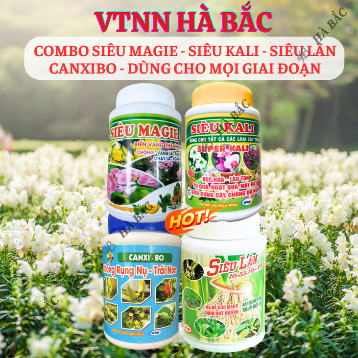 Phân bón lá Siêu Magie - Siêu Kali - Siêu Lân - Canxibo Cuốc Vàng - Dùng Cho Mọi Giai Đoạn (Hũ 100gram)