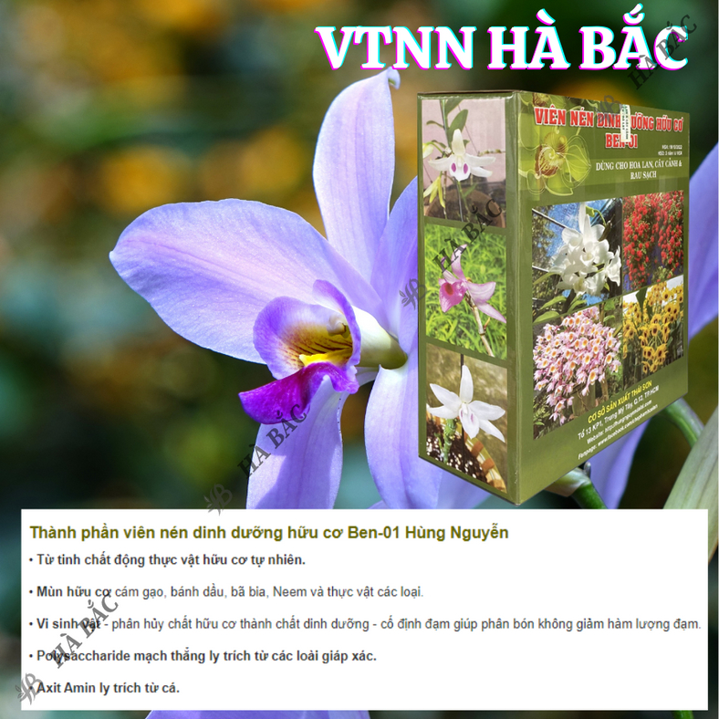 Viên nén dinh dưỡng hữu cơ Ben-01 Hùng Nguyễn (Hộp 1KG), chuyên dùng cho lan, cây cảnh và rau, bổ sung đa vi lượng