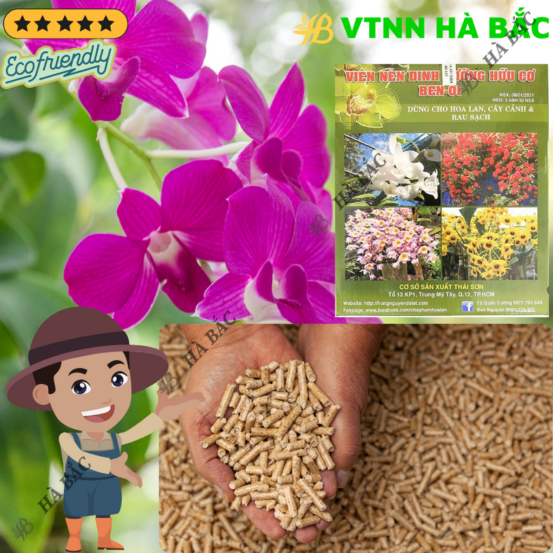 Viên nén dinh dưỡng hữu cơ Ben-01 Hùng Nguyễn (Hộp 1KG), chuyên dùng cho lan, cây cảnh và rau, bổ sung đa vi lượng
