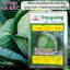 Bắp Cải F1 Trang Nông TN6 (1gram), hạt giống nảy mầm tốt, năng suất cao, trông quanh năm - Hạt giống Hà Bắc