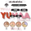 Che Khuyết Điểm ĐA NĂNG 3 Ô THE SAEM Cover Perfection Triple Pot Concealer